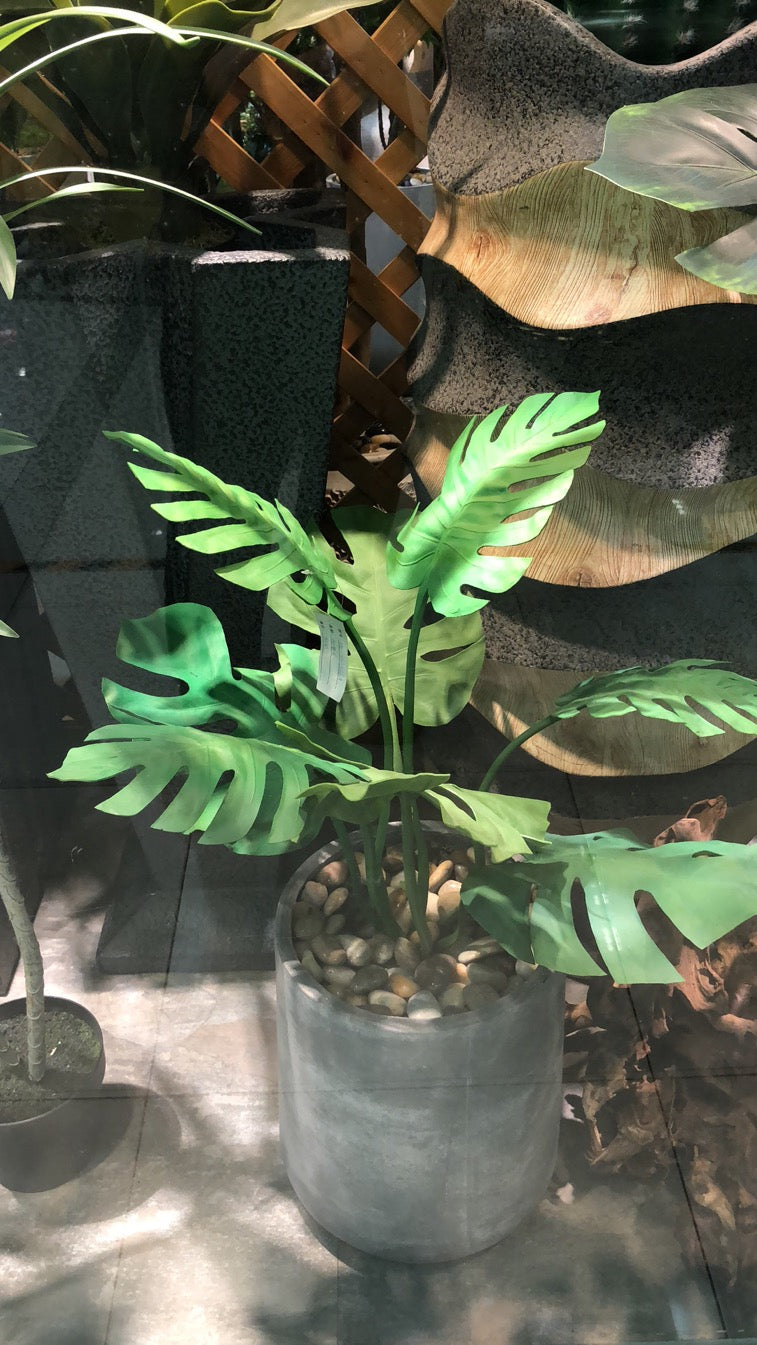 4033100041316 Decorative Trees