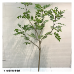 4033100044375 Decorative Trees