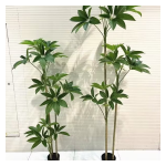 4033100044377 Decorative Trees