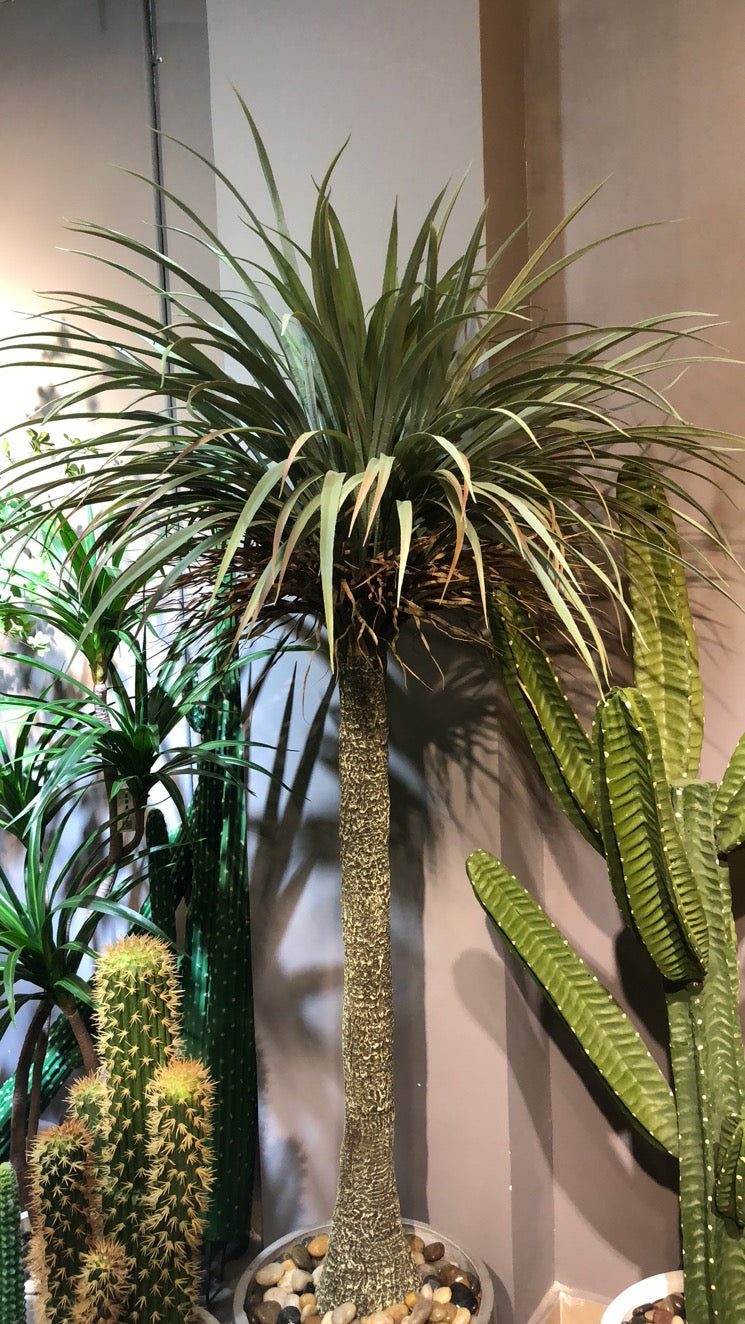 TREE15
