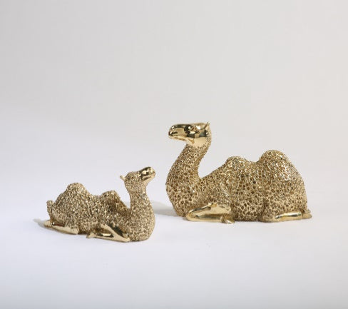 4033100040392 Accessories