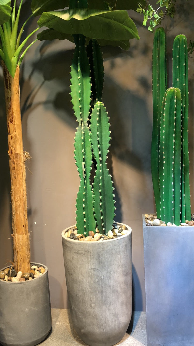 4033100041294 Decorative Trees