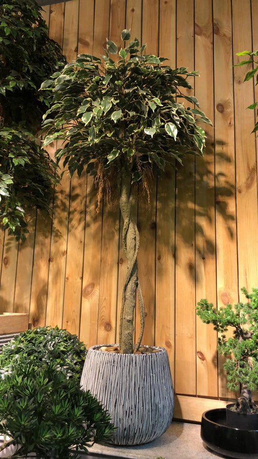 4033100041314 Decorative Trees