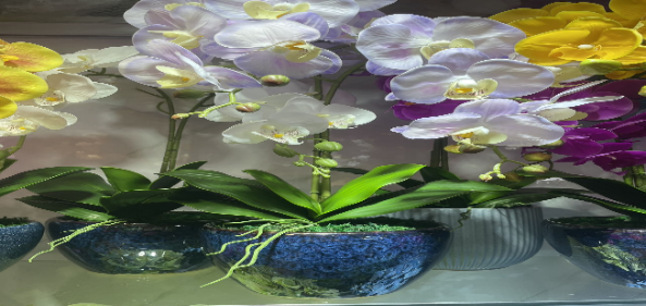 4033100044156 Decorative Trees