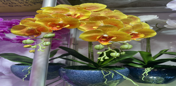4033100044157 Decorative Trees