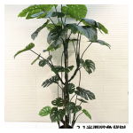4033100044370 Decorative Trees