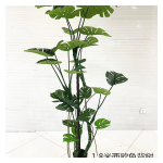 4033100044371 Decorative Trees