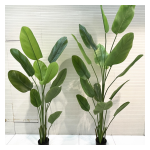 4033100044380 Decorative Trees