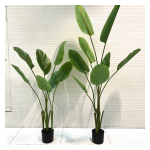 4033100044381 Decorative Trees