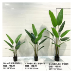 4033100044382 Decorative Trees