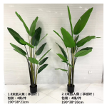 4033100044383 Decorative Trees