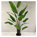 4033100044384 Decorative Trees