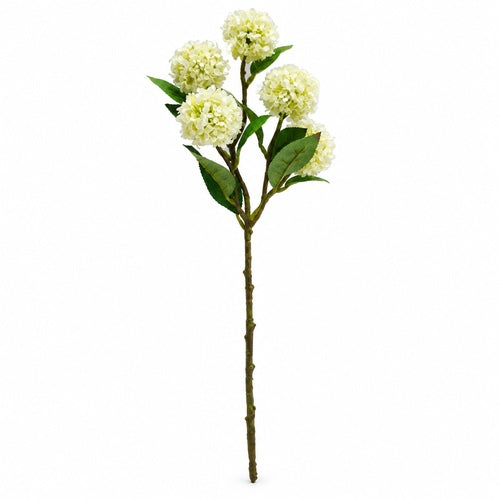 QH146-0526 — centered on white background